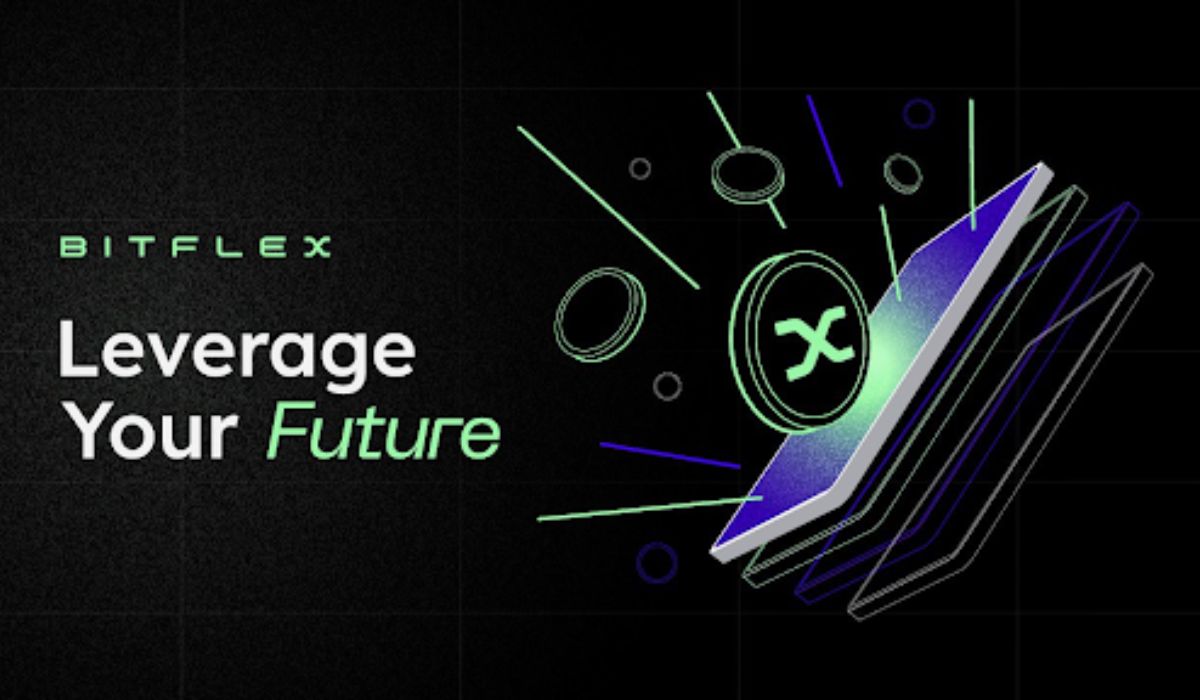  interface bitflex exchange growth aesthetically pleasing easy-to-navigate 