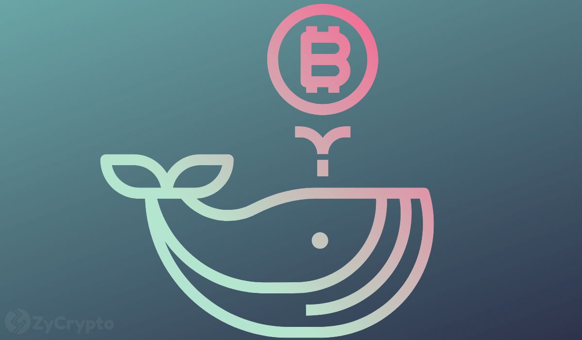 This Mysterious Bitcoin Whale Has Acquired Over 115,000 BTC in Less Than 3 Months