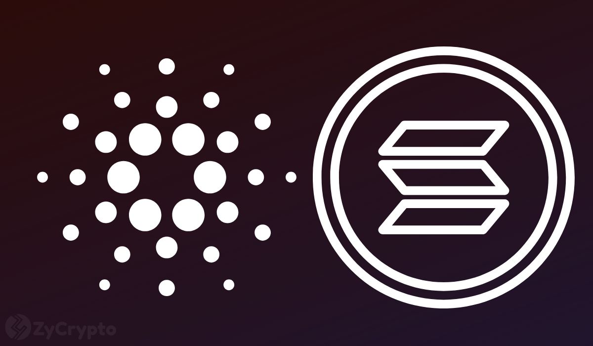  solana cardano members sidechain community becoming appears 