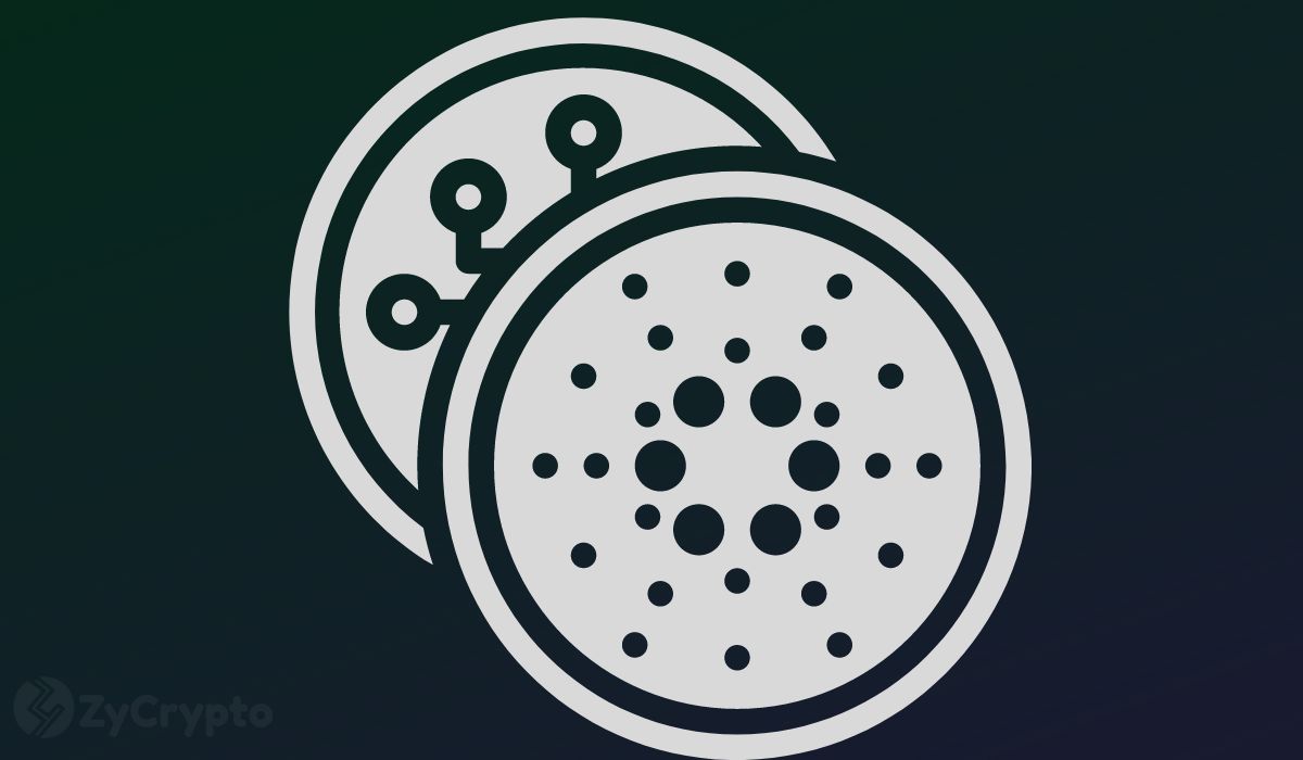  ada-backed cardano launch stablecoin excitement collective following 