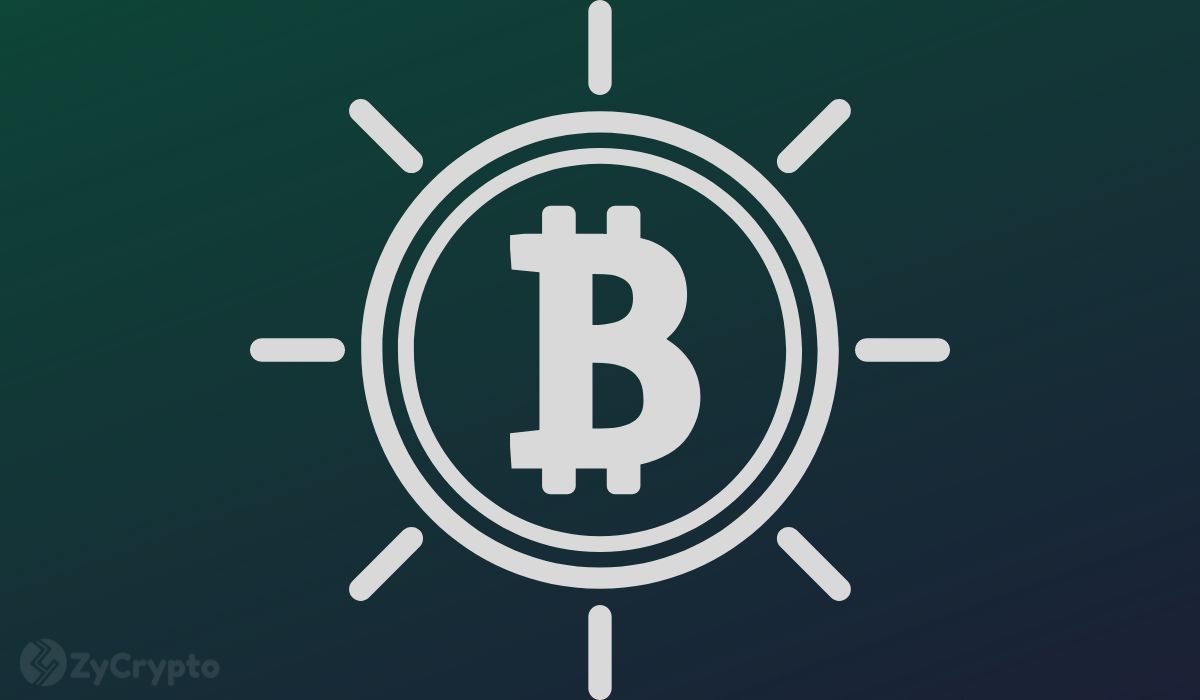  bitcoin activity network indicating revival dormant previously 