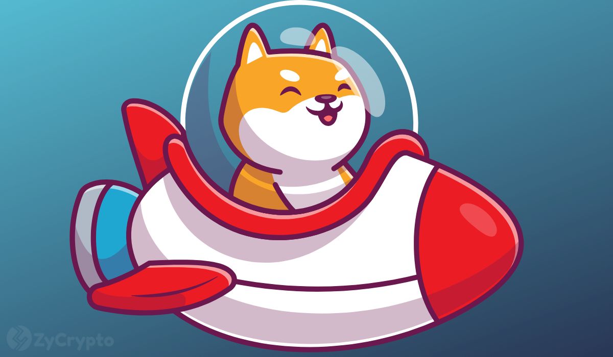  shiba inu witnessing cryptocurrencies whirlwind activity storm 