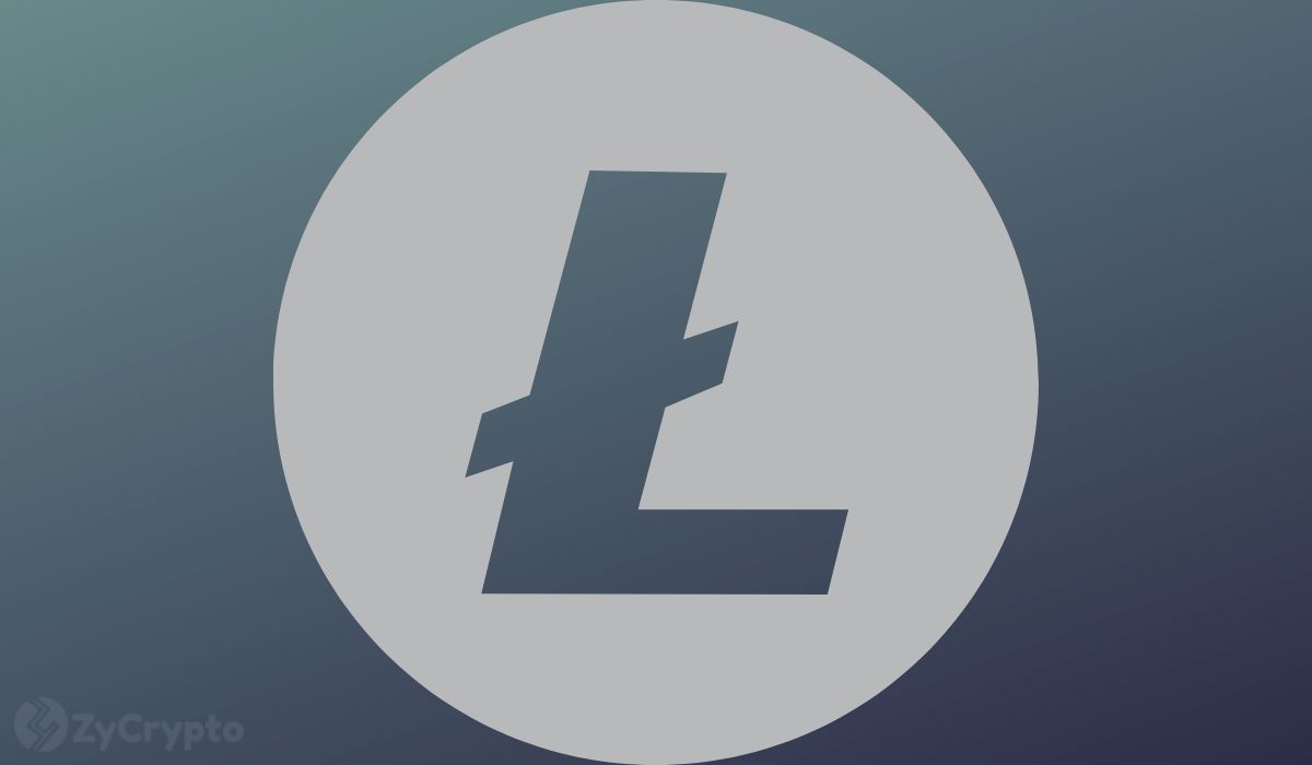  processed transactions litecoin day million date 900 