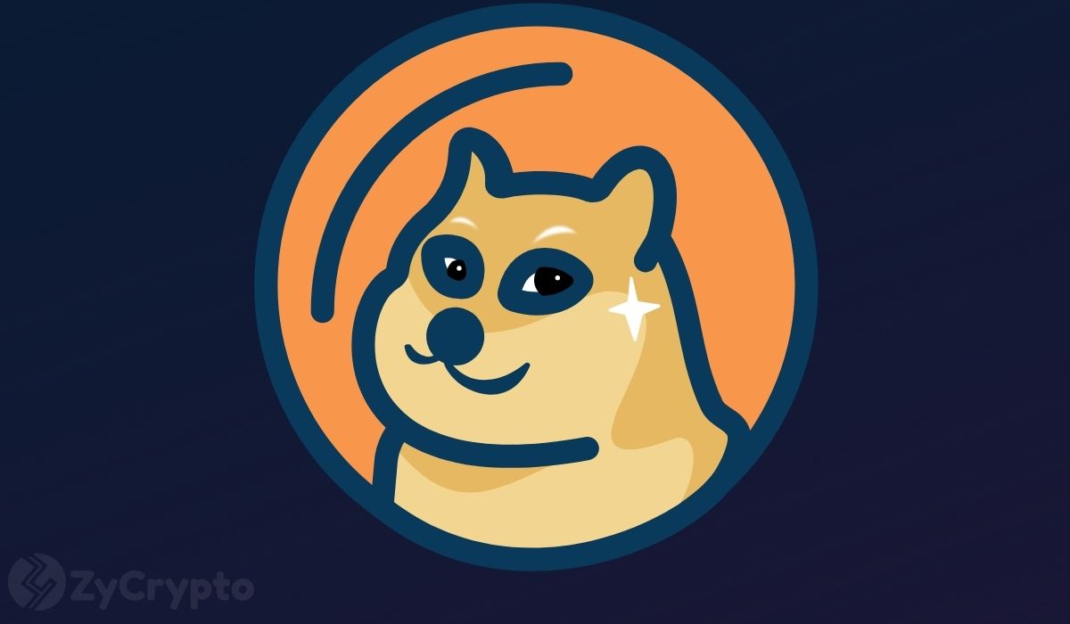  dogecoin remarkable displayed doge resilience week amidst 