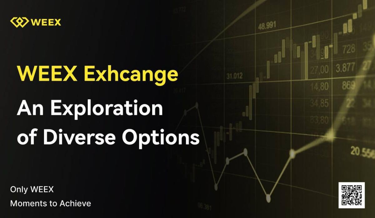 WEEX: Services Offerings, Trading Options & Features