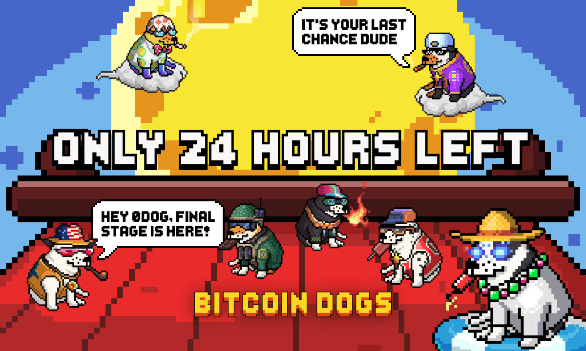  dogs million presale hours bitcoin set project 