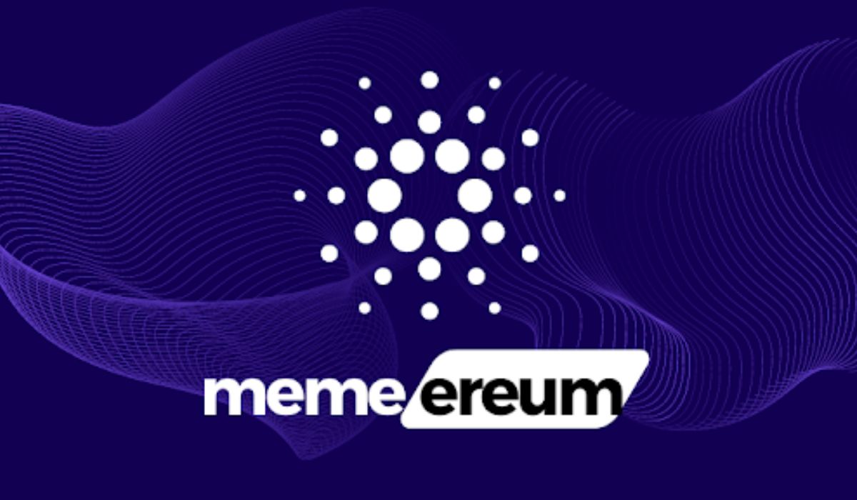 Memereum Stands Out In The Rapidly Evolving World of DeFi