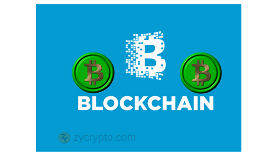 blockchain support bitcoin cash