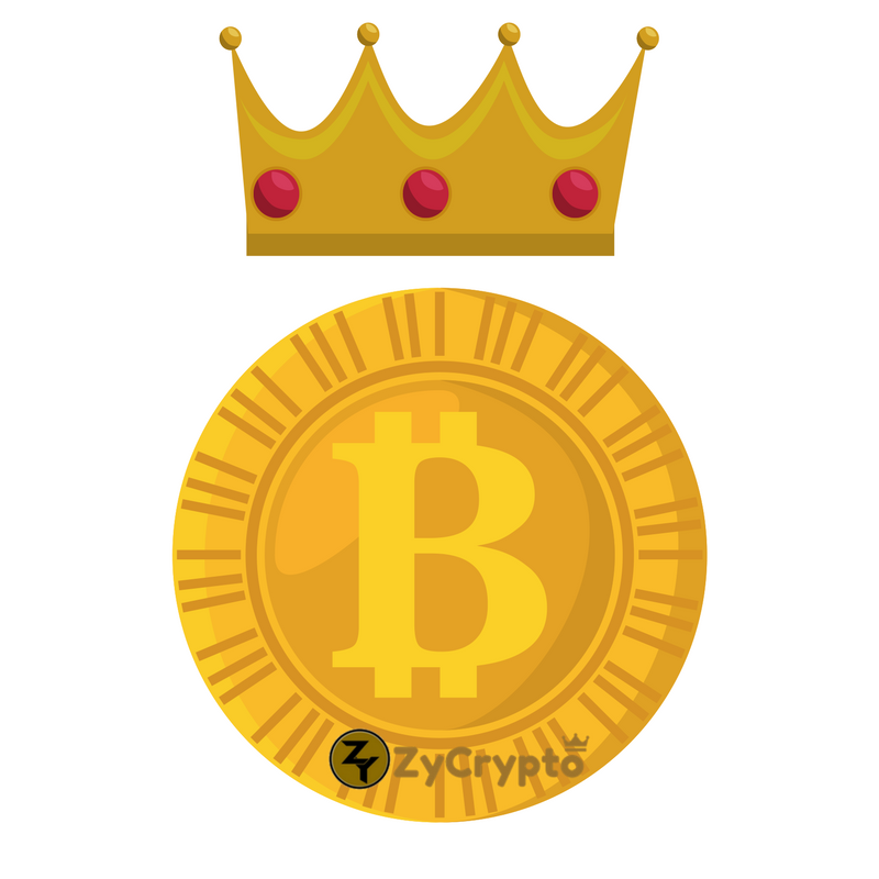 bitcoin king