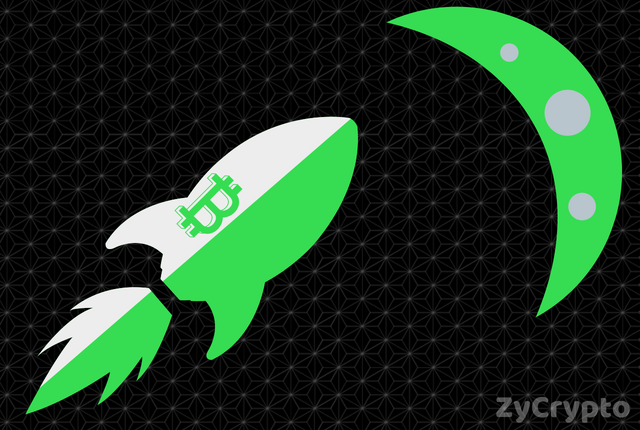 After A Heavy Fall Bitcoin Price Still Steady Green, Preparing For Moon ?