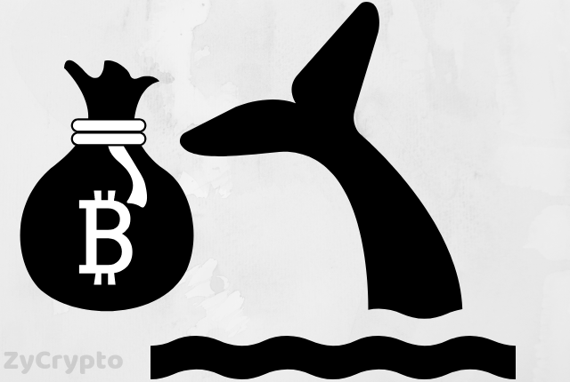 Whale Movement: $618 Million Worth Of BTC Moved From Binance to Unknown Wallet Amidst Crypto Bear Markets