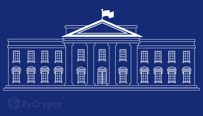 Is Donald Trump a Crypto fan? Blockchain and Crypto advocate elevated to White House Chief of Staff