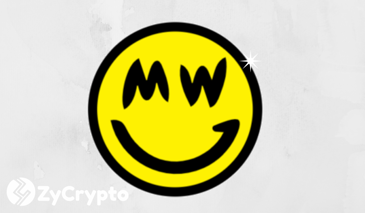Grin Coin (GRIN) is Growing on Work not Hype