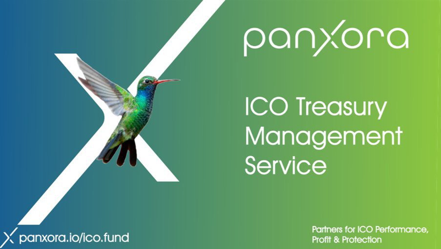 Panxora Launches Crypto treasury management Service to Safeguard ICO Assets