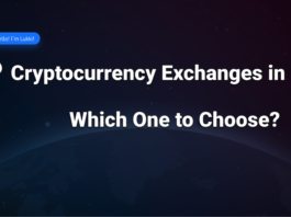 Lukki Crypto Exchange: Get Access To An Amazing Launchpad For Holding IEO