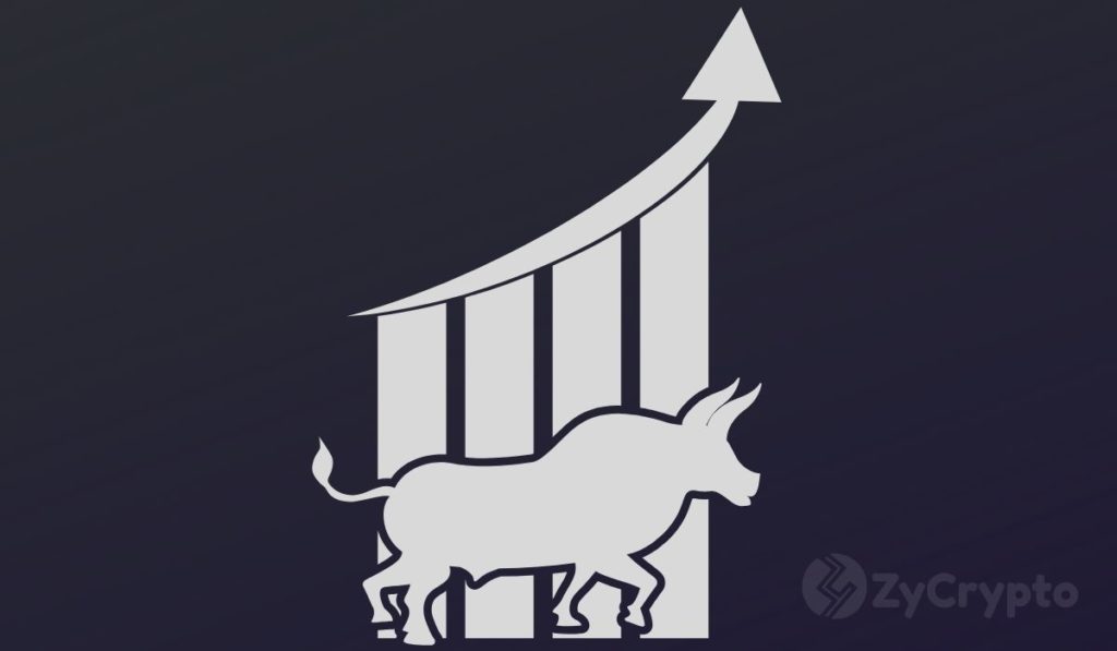 Is Bitcoin in a Macro Bull Market? On-Chain Analyst Willy Woo Thinks so