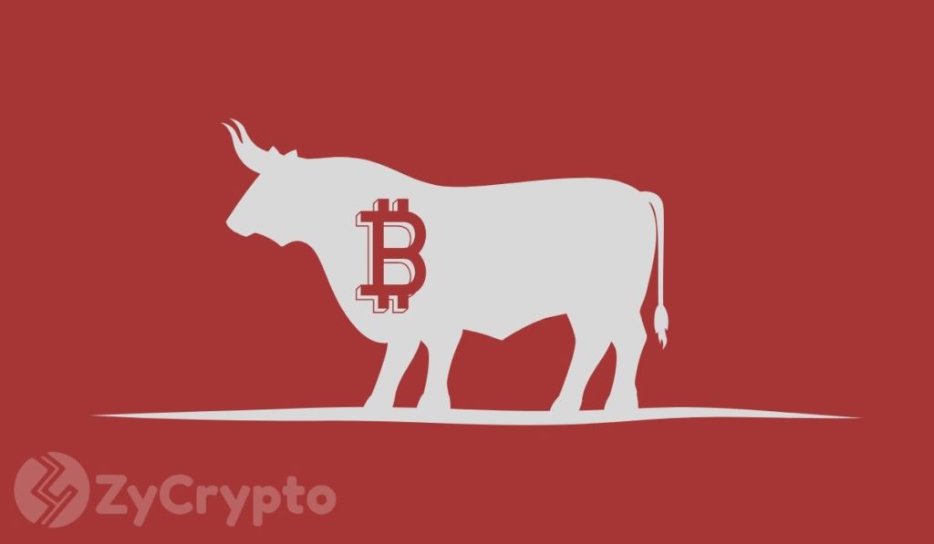 Are Bulls Exhausted? Bitcoin Slips Below $8,400, Risks Plummeting Under $7,900