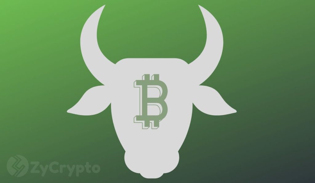 Veteran Trader Peter Brandt Presents Three Scenarios That Prove Bitcoin Might Have Entered A Bull Market
