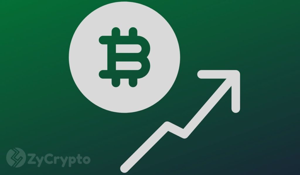 Bitcoin Price Hitting $20k Overnight Won't Be Surprising For Blockstream's Adam Back
