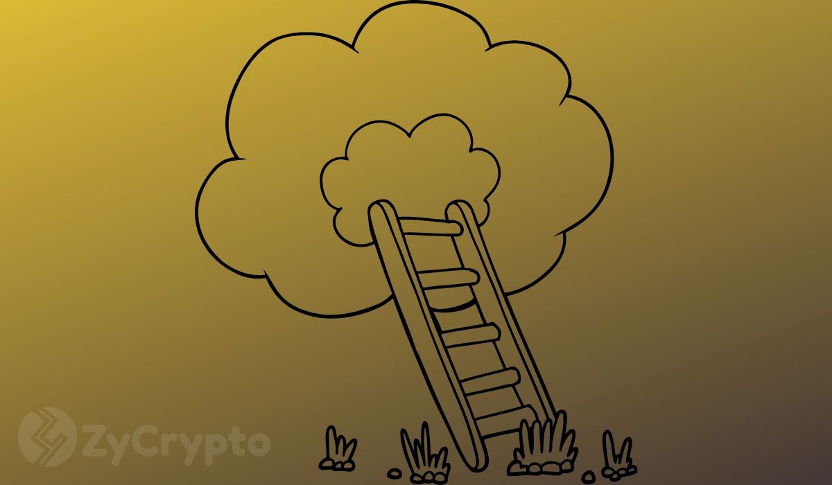 Recent Gold Price Plunge Boosts Bitcoin’s Safe-Haven Stance