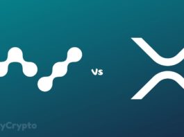 David Gokhshtein Compares XRP to NANO, Claims Almost No Speed Difference