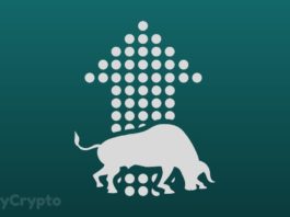 Bitcoin Bull Markets Show Increasing Traction Among Altcoins
