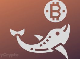 Bitcoin Whales Are Propping Markets As Bulls Regain $9,000