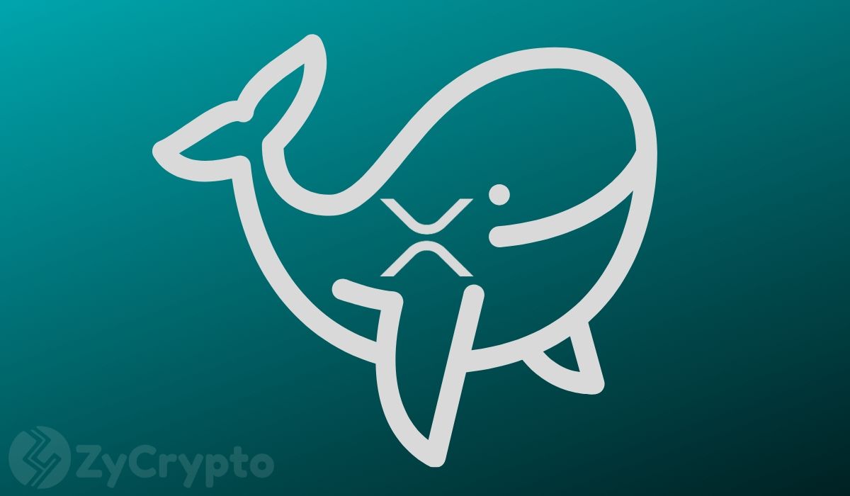 XRP Whales Are Seriously Accumulating – A Major Price Movement Inbound?