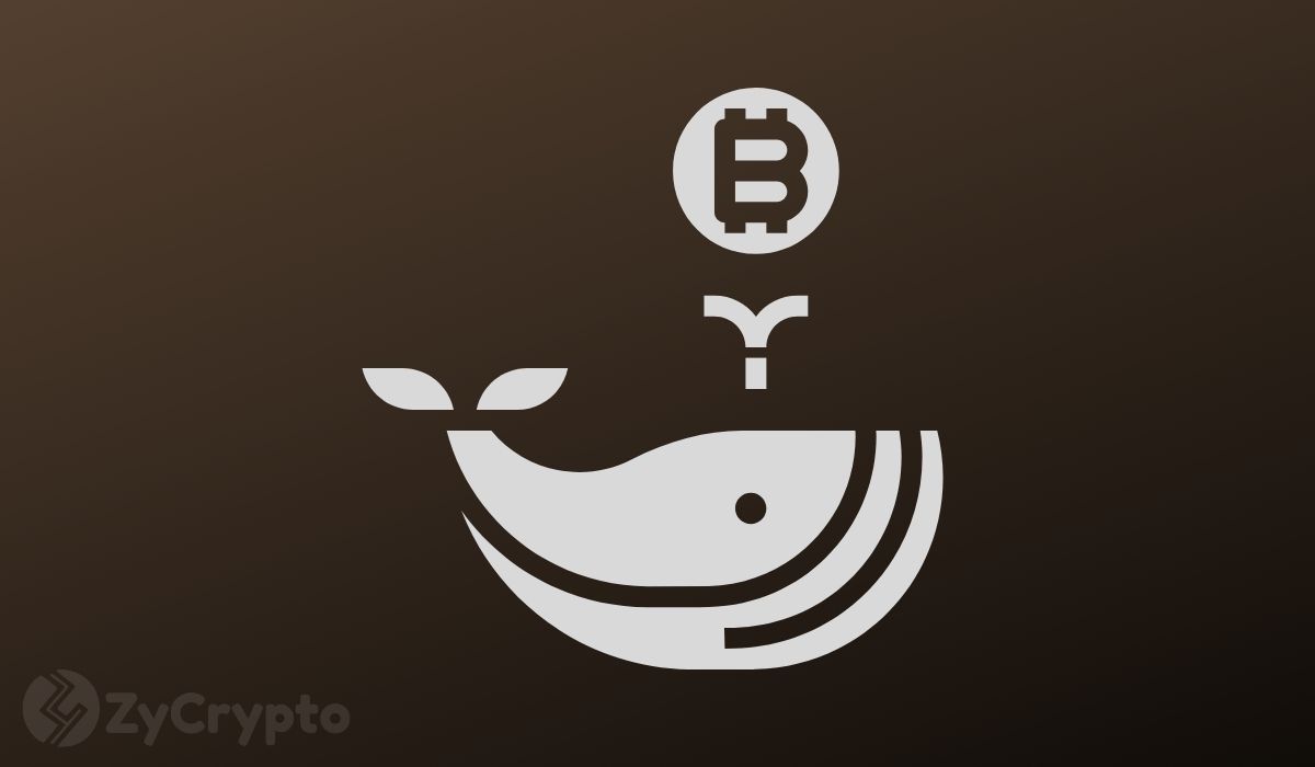 Subtle hints that indicate Elon Musk is already a Bitcoin Whale