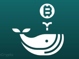 Why Whales' Movements Have Yet to Fully Reflect on Bitcoin's Price Action