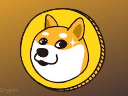 Grayscale CEO Barry Silbert Says Dogecoin Is Dramatically Overvalued