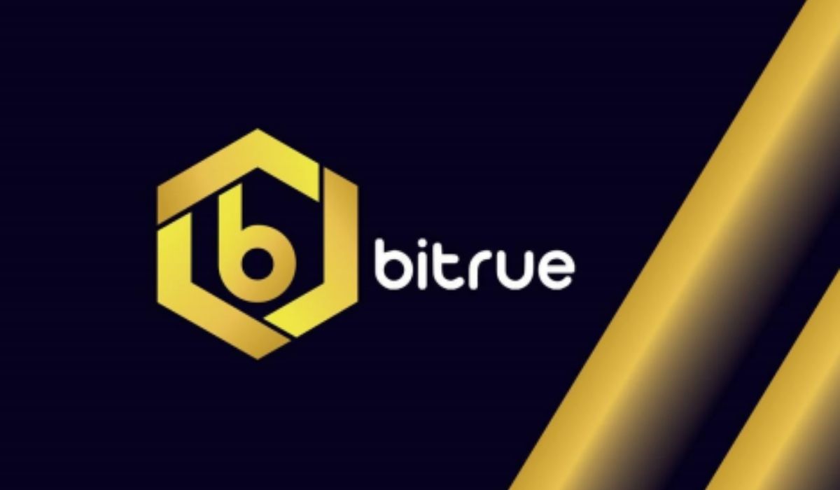 Bitrue Exchange is Leading the Way with Crypto Investment Support!