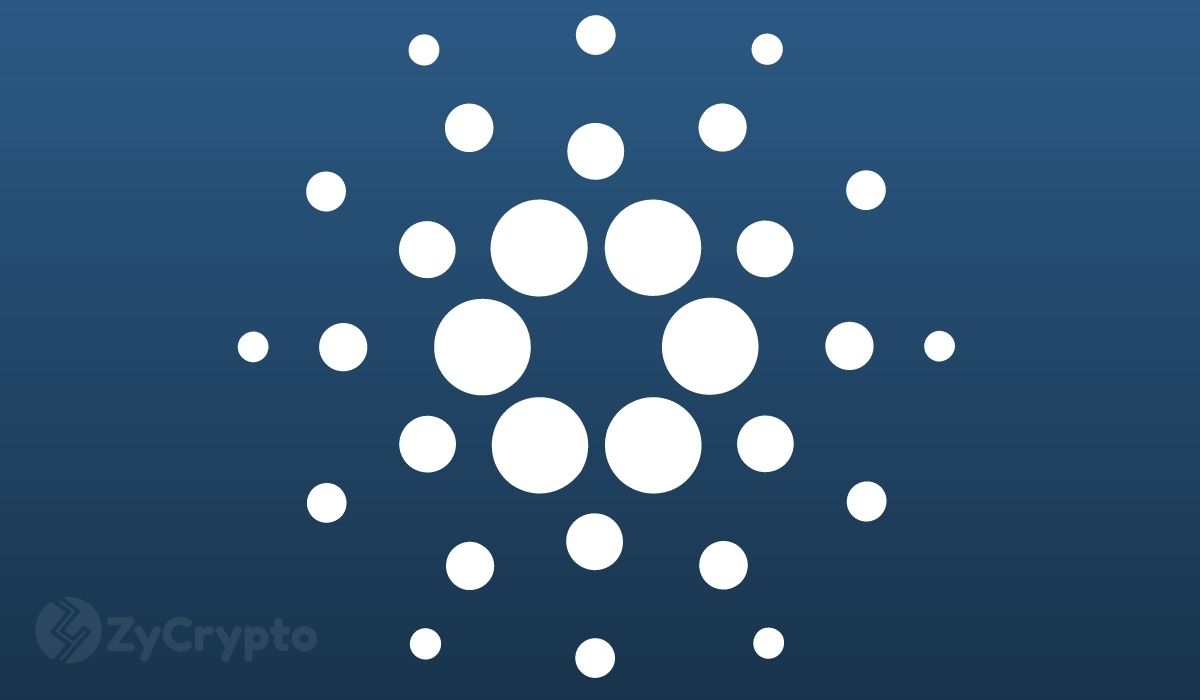  There Are Already Thousands Of Assets Running On Cardano