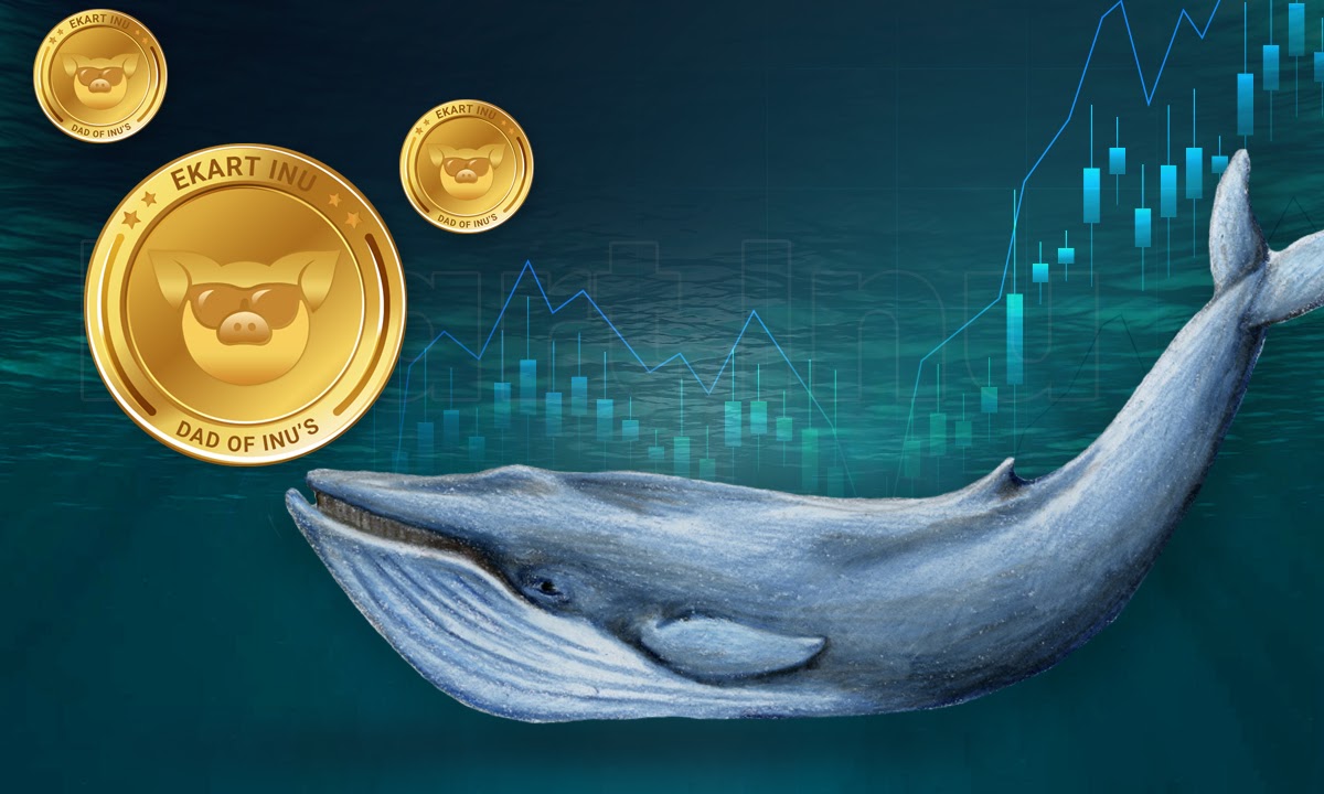 Whales Move To Cop Massive Amounts Of EKARTINU Tokens - Can The EKART meme token price jump 1000X in 2021?