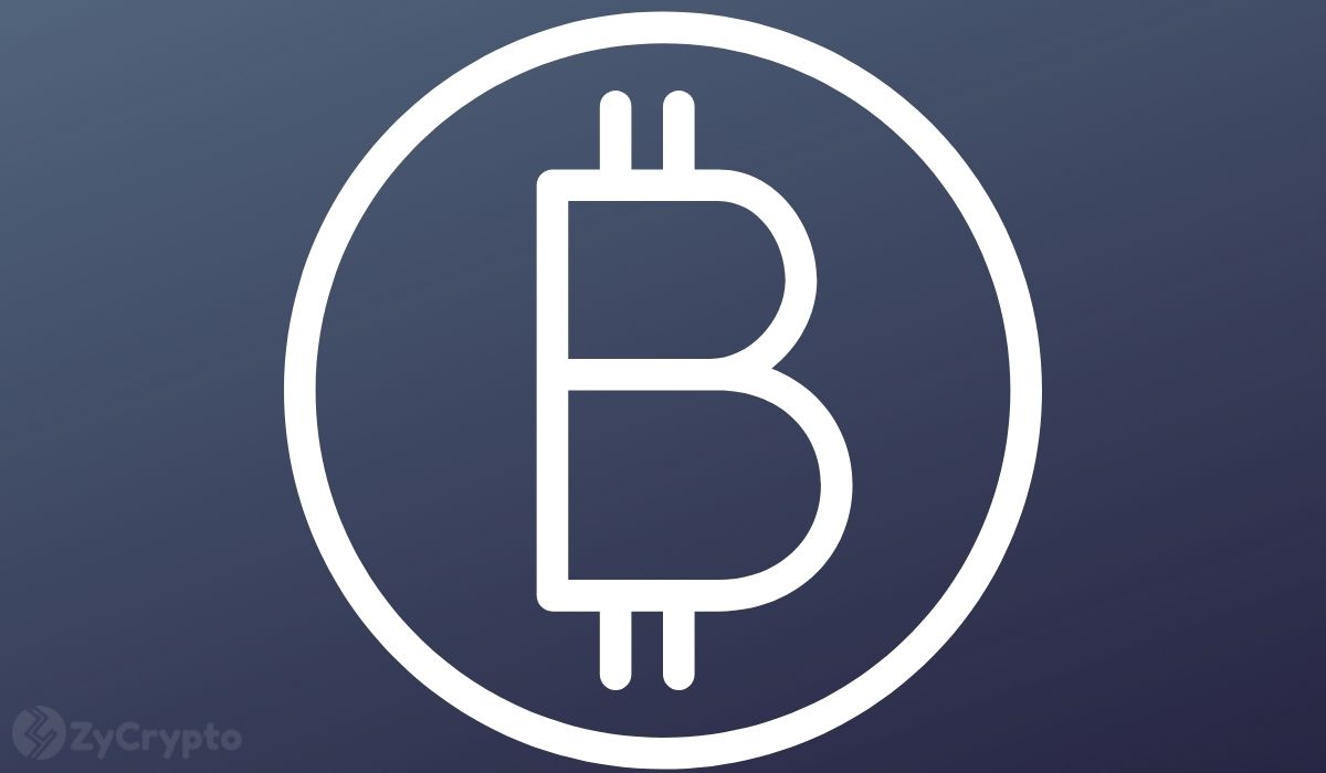 Blockchain.com Executive Blasts El Salvador’s Method Of Bitcoin Adoption