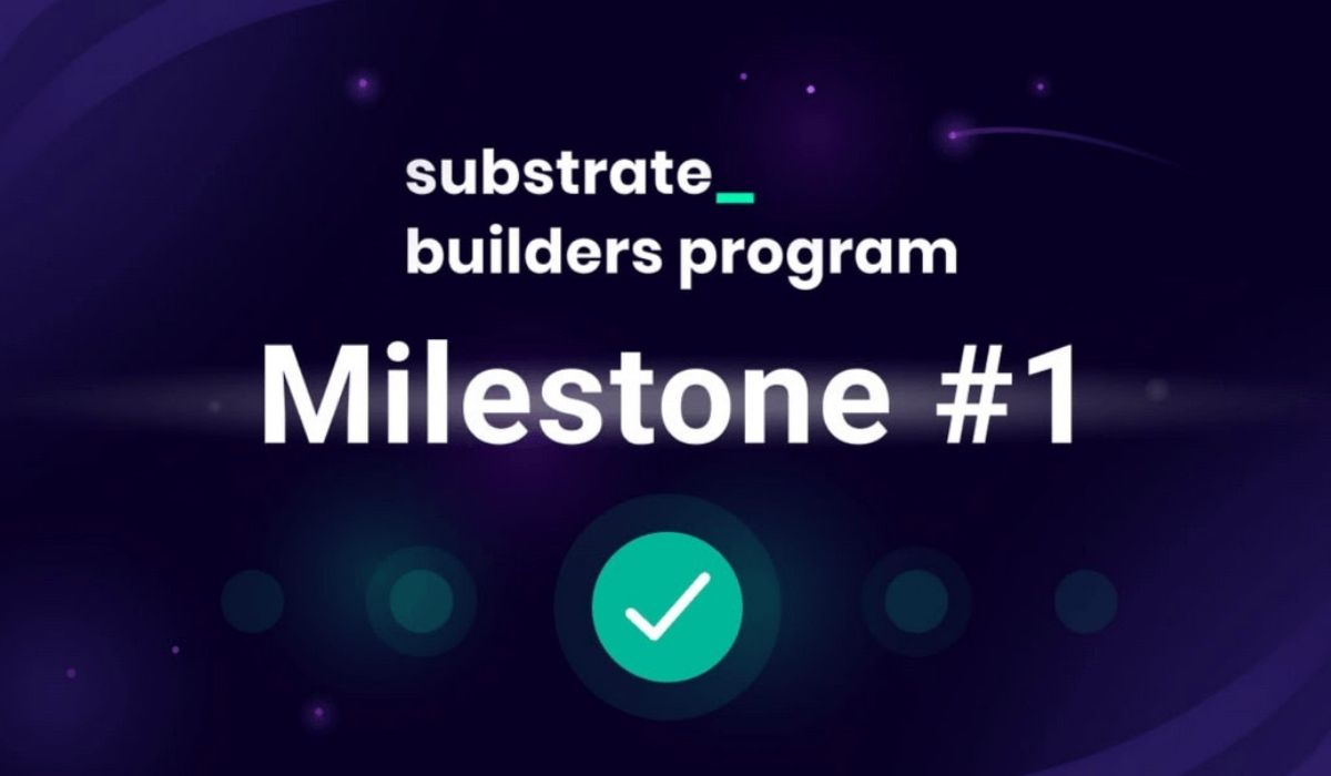 Pontem Network Achieves Milestone #1 Of Parity’s Substrate Builder’s Grant Program
