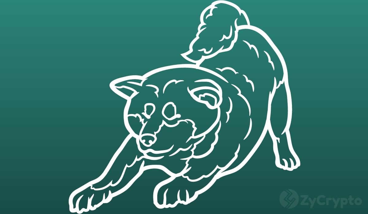 Robinhood Rival Public Adds Shiba Inu Trading To Its Platform