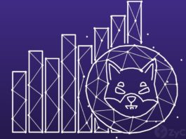 As Investors Scoop Billions Of Shiba Inu, Kucoin CEO Reveals Why He's Holding SHIB For The Long Term