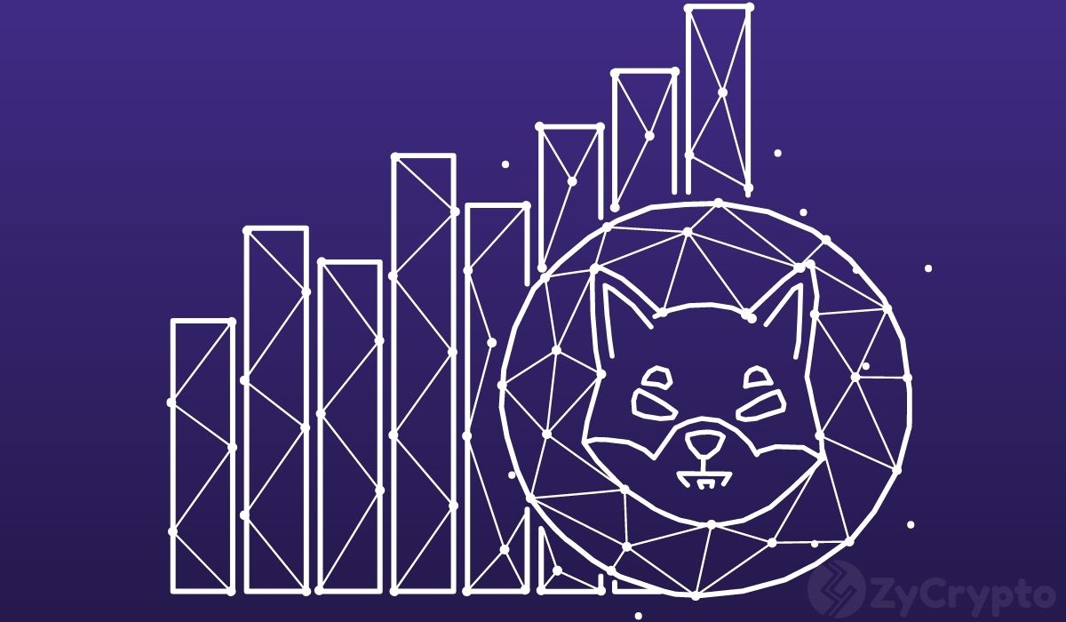As Investors Scoop Billions Of Shiba Inu, Kucoin CEO Reveals Why He's Holding SHIB For The Long Term