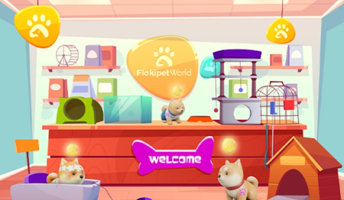 Floki Pet World Launches IDO - Marks Steps Towards Becoming The Next Shiba Inu