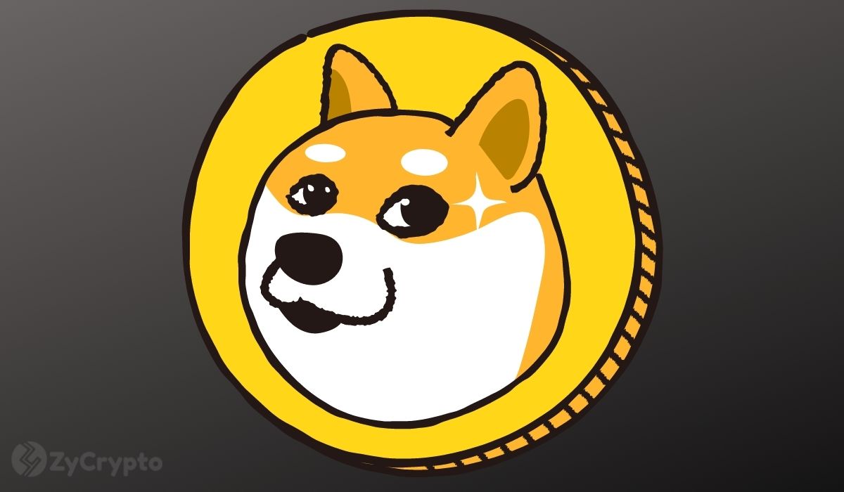 Dogecoin’s Future Is Crushingly Bleak As Dogefather Elon Musk Warns Investors Against ‘Betting The Farm’ On DOGE