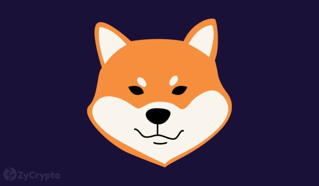 ‘It Was Scary And Fun’: Ethereum’s Vitalik Recounts How He Dumped Nearly $7 Billion Worth Of Shiba Inu Tokens