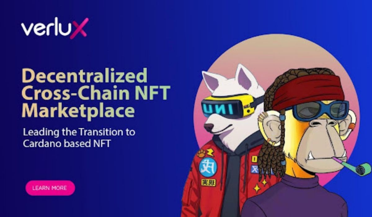 NFT Project Verlux Unveils The First Look Of Its Staking Platform Amid Ongoing VLX Token Public Sale