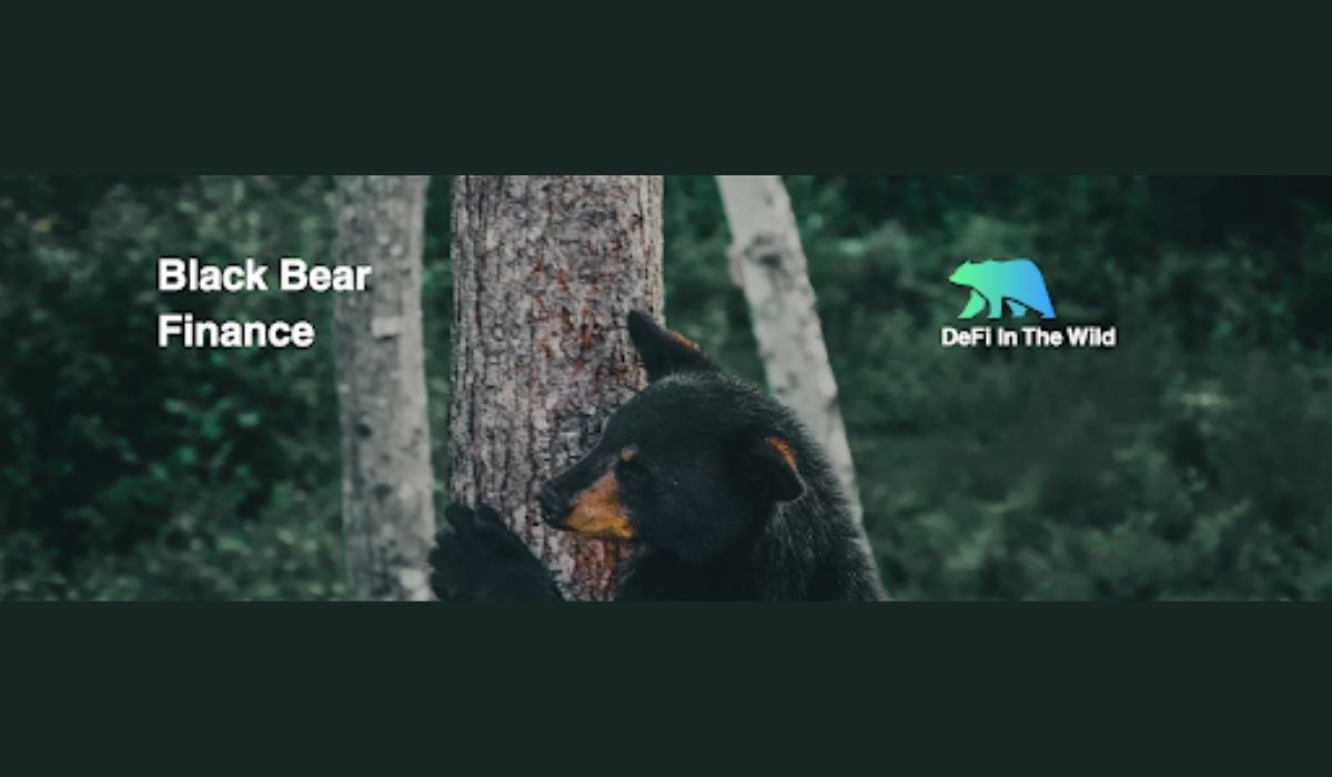 Black Bear Finance lance la plateforme DeFi et GameFi pour soutenir la conservation de la faune