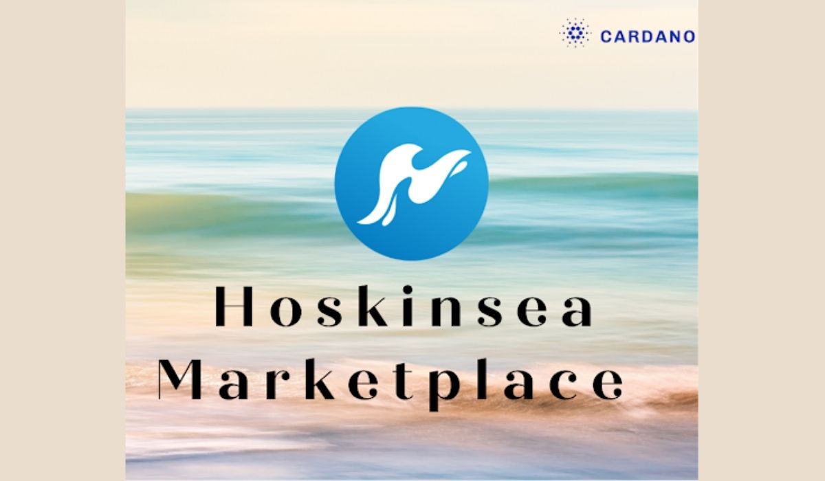 Hoskinsea Marketplace Continues HSK Token Private Sale As it looks to Spearhead Cardano NFT Sales