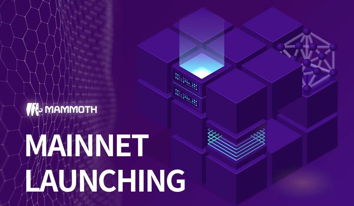 Mammoth Aims to be a Leader in 'Differentiated Global Blockchain' With Mainnet Launch