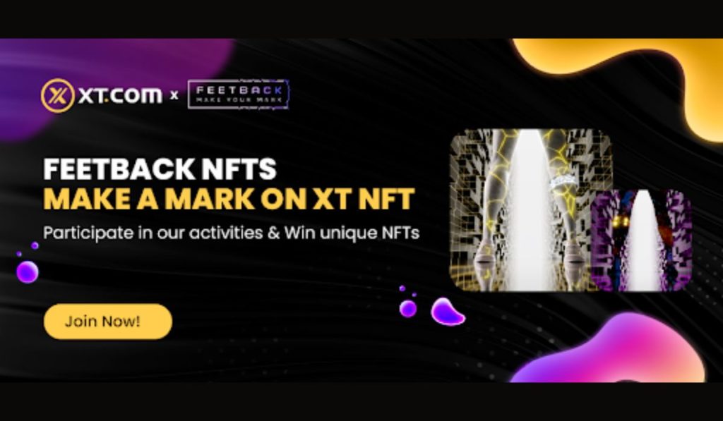 XT.com lists the Feetback NFT collection on its exclusive NFT platform