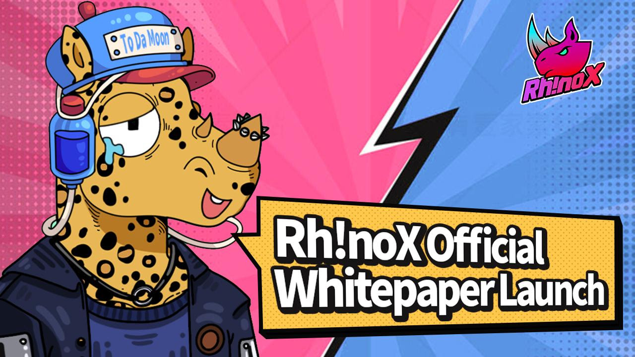 BinaryX Announces The Release Of The RhinoX Whitepaper Outlining Ecosystem's Key Features