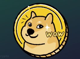 Dogecoin's Future Could Follow This Bullish Trajectory To $1 DOGE Price Thanks To Elon Musk