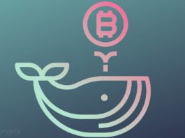Mammoth BTC Whale: The Chinese Government Holds More Bitcoin Than Michael Saylor's MicroStrategy